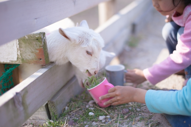 動物飼育員の退職理由 転職ステーション