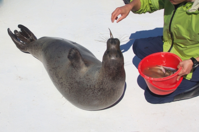 動物飼育員になるには 転職ステーション