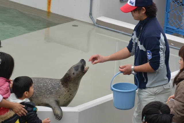 動物飼育員の転職と年齢 転職ステーション 動物飼育員の転職と年齢 転職ステーション