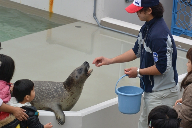 動物飼育員の転職と年齢 転職ステーション